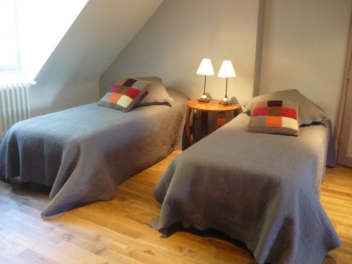 Manoir De La Vigneraie Bed & Breakfast Athée-sur-Cher Dış mekan fotoğraf