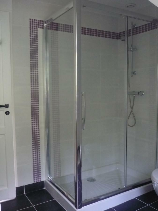 Manoir De La Vigneraie Bed & Breakfast Athée-sur-Cher Dış mekan fotoğraf