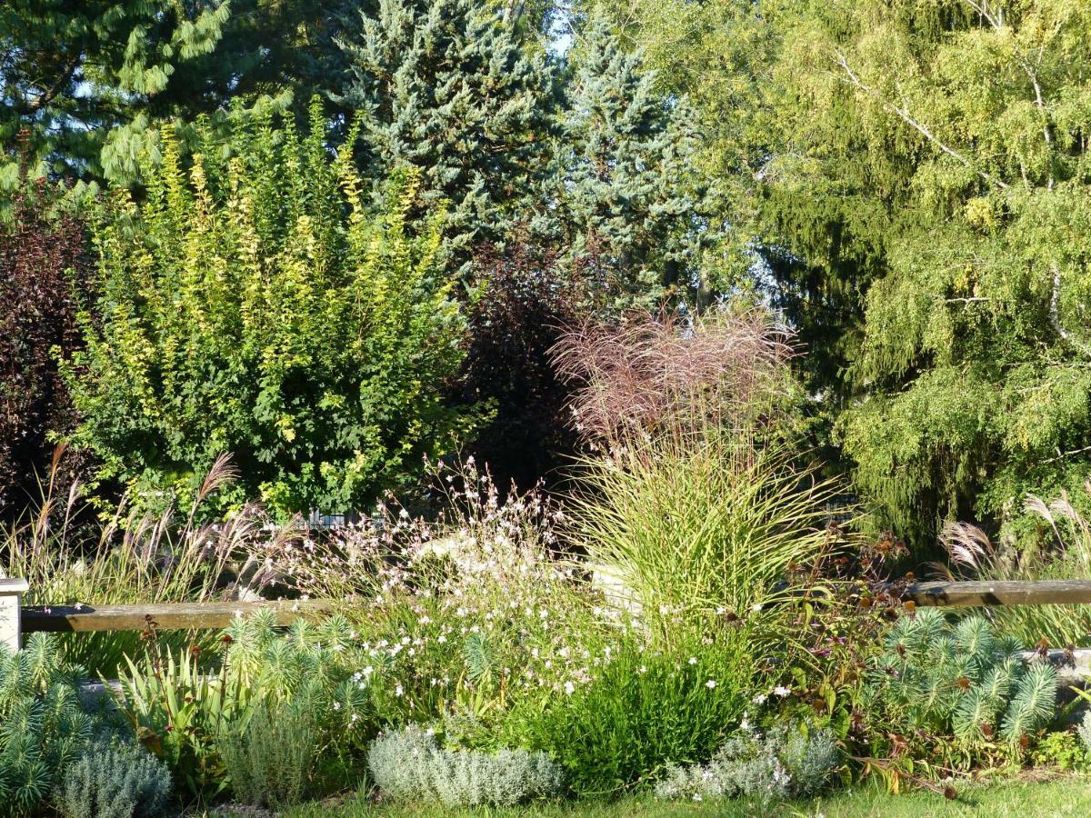 Manoir De La Vigneraie Bed & Breakfast Athée-sur-Cher Dış mekan fotoğraf